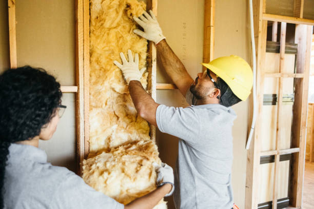 Best Spray Foam Insulation  in Henrietta, TX